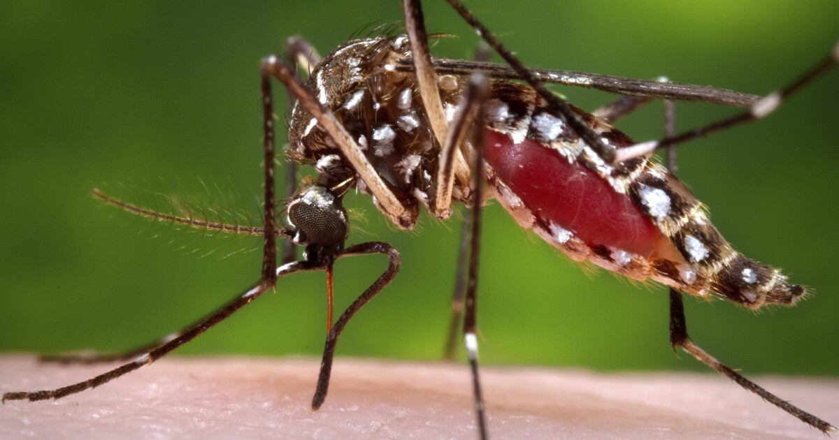 Ambtenaren dringen op voorzichtigheid, preventieve maatregelen tijdens het West -Nile -virusseizoen van Pennsylvania