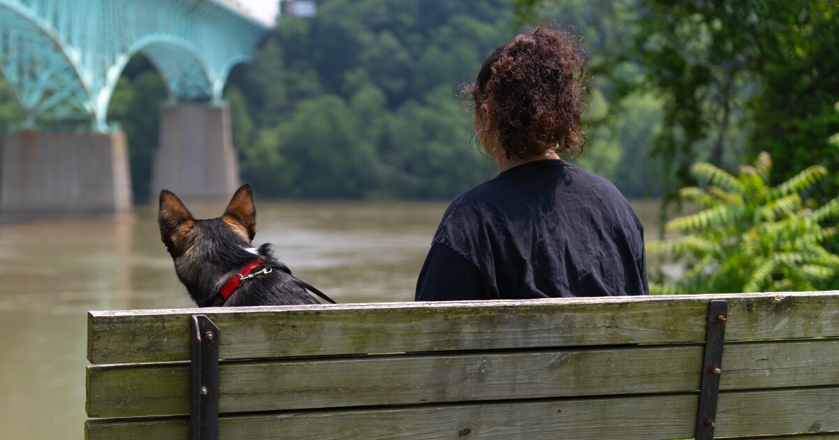 Reporter's Notebook: Waarom Wesa keek naar scholen in Pittsburgh-gebied die studenten voor de rechter brachten.