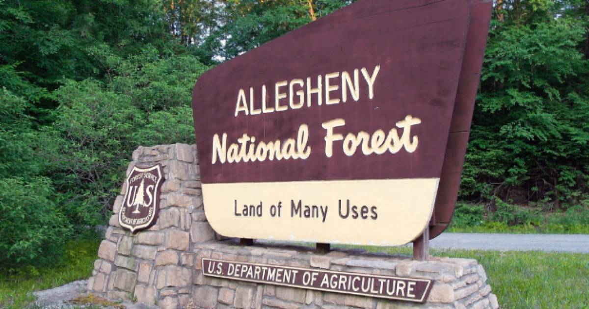 Trump -administratie wil een einde maken aan wegloze heerschappij in Amerikaanse bossen, waaronder Allegheny National in PA.