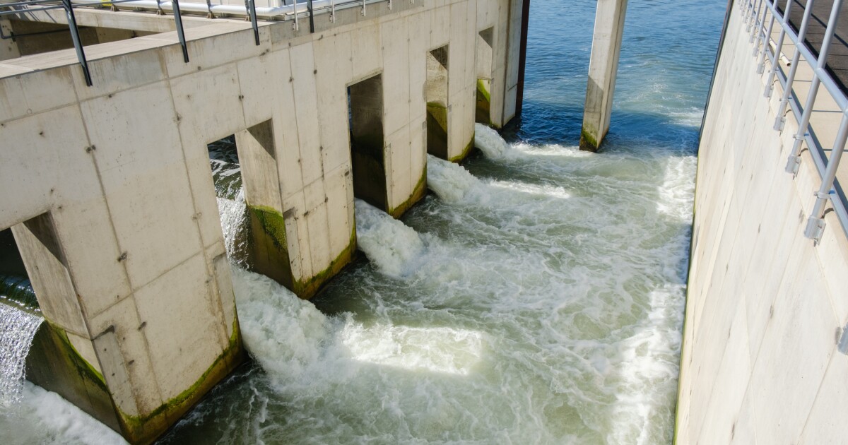 Van een flush tot een rivier: achter de schermen in de behandelingsinstallatie van Alcosan