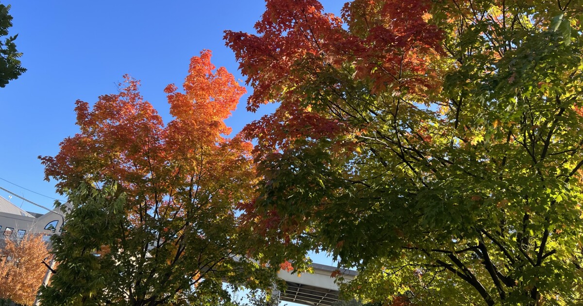 Hoorn des overvloeds van de herfst, Halloween-evenementen om naar uit te kijken in oktober in de omgeving van Pittsburgh