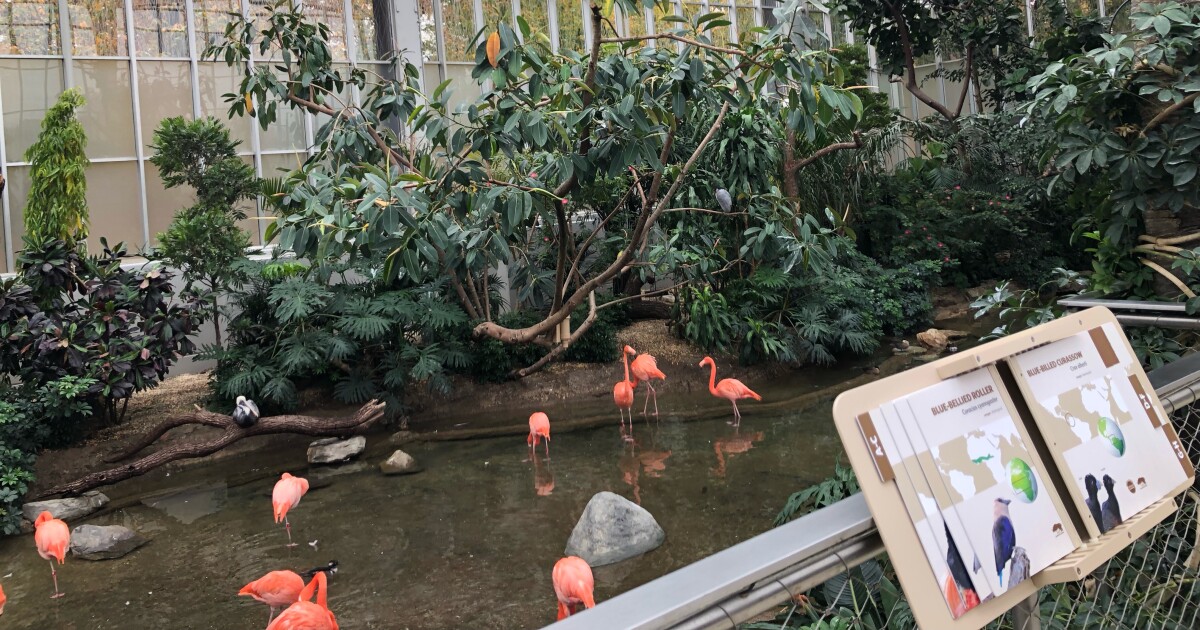 Pittsburgh's Regional Asset District geeft een voorlopige begroting uit