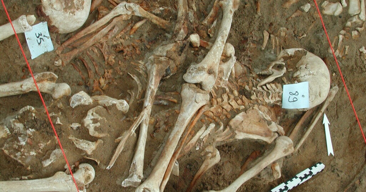 Waardoor werd het leger van Napoleon gedood? Wetenschappers vinden aanwijzingen in DNA van de tanden van gevallen soldaten