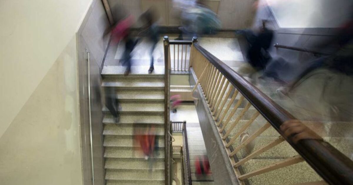 Democraten winnen de verkiezingen voor schoolbesturen in Pine-Richland en in heel Pennsylvania