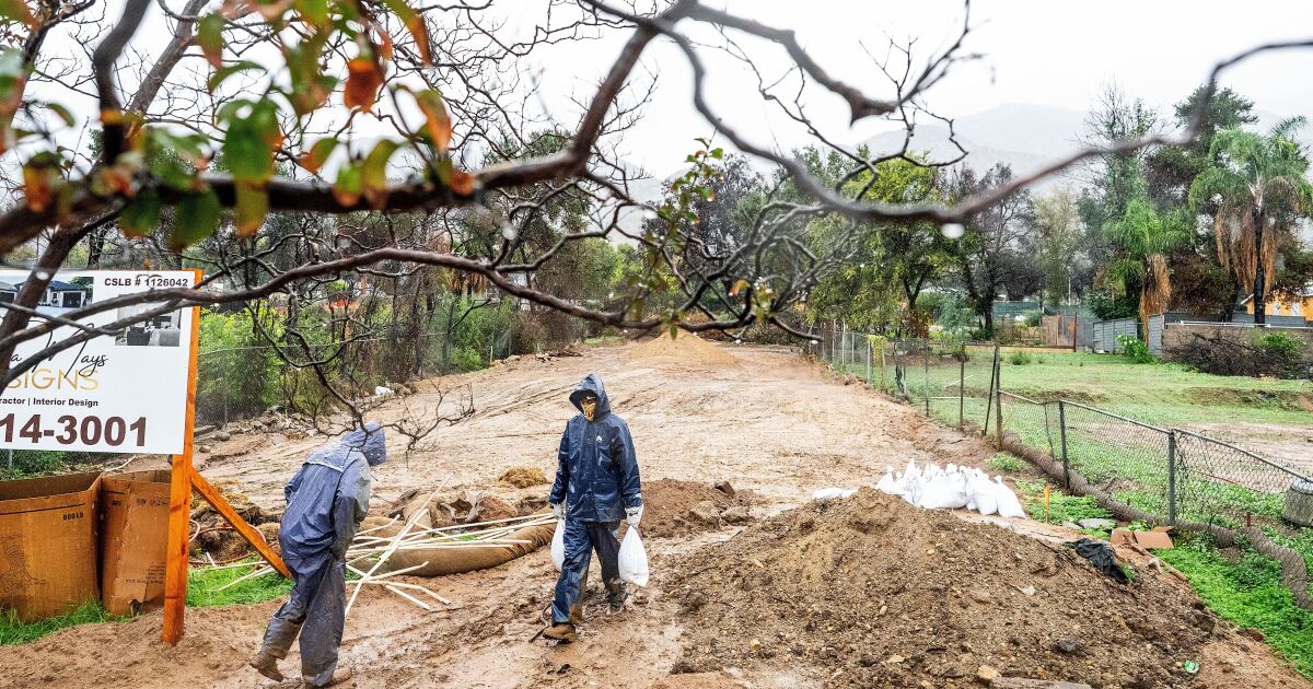 Waarnemend hoofd van de FEMA, David Richardson, vertrekt na zes maanden in dienst te zijn geweest