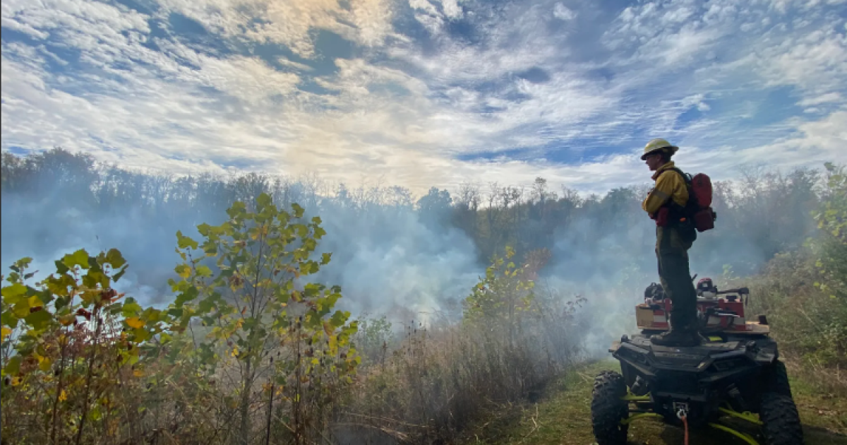 Waarom Pittsburgh's Botanic Garden een gecontroleerde verbranding gebruikte om invasieve planten terug te dringen