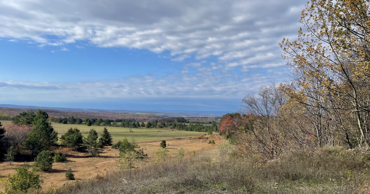 De Nature Conservancy verwerft meer dan 200 hectare in West-Pa. om zeldzame vogels te helpen beschermen