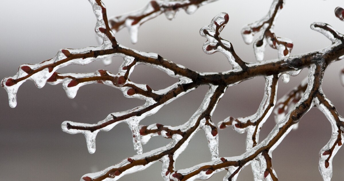 De gevoelstemperatuur in Pittsburgh bereikt zaterdag -20 graden, zondag niet veel beter