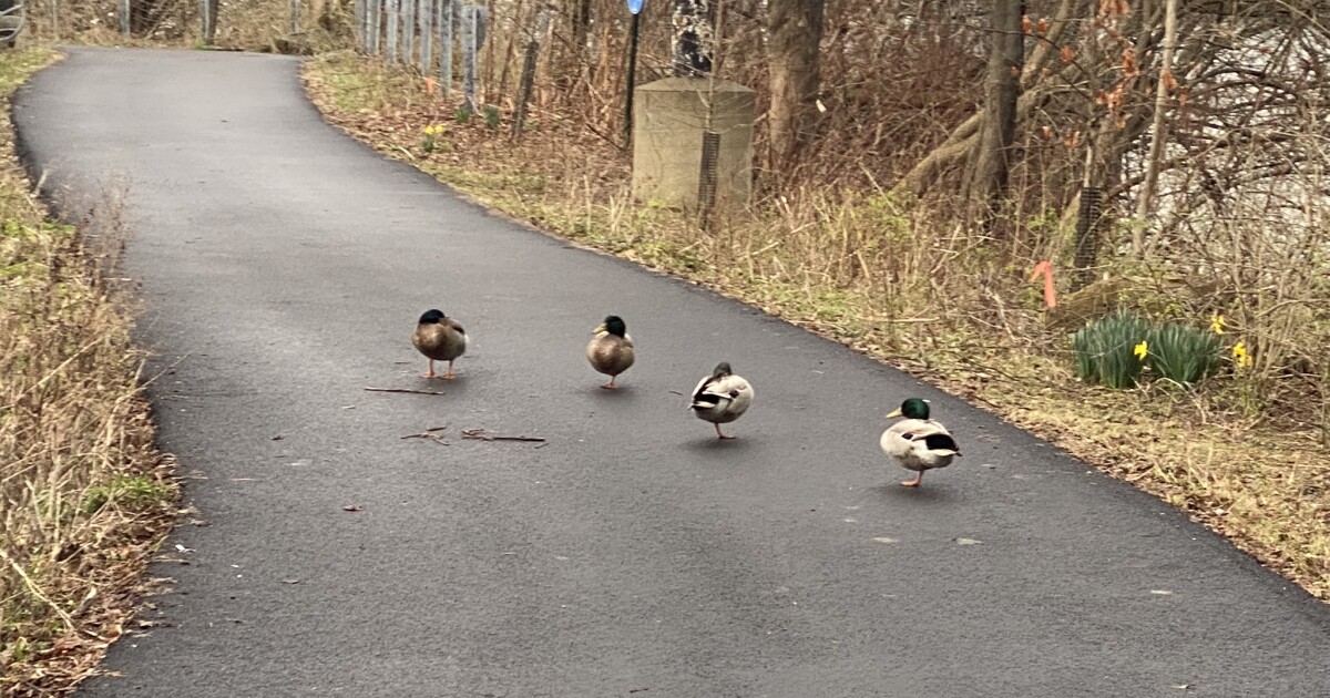 Pittsburgh heeft jaren besteed aan het aanleggen van wandelpaden en parken langs de rivier. Hier leest u hoe ze worden onderhouden