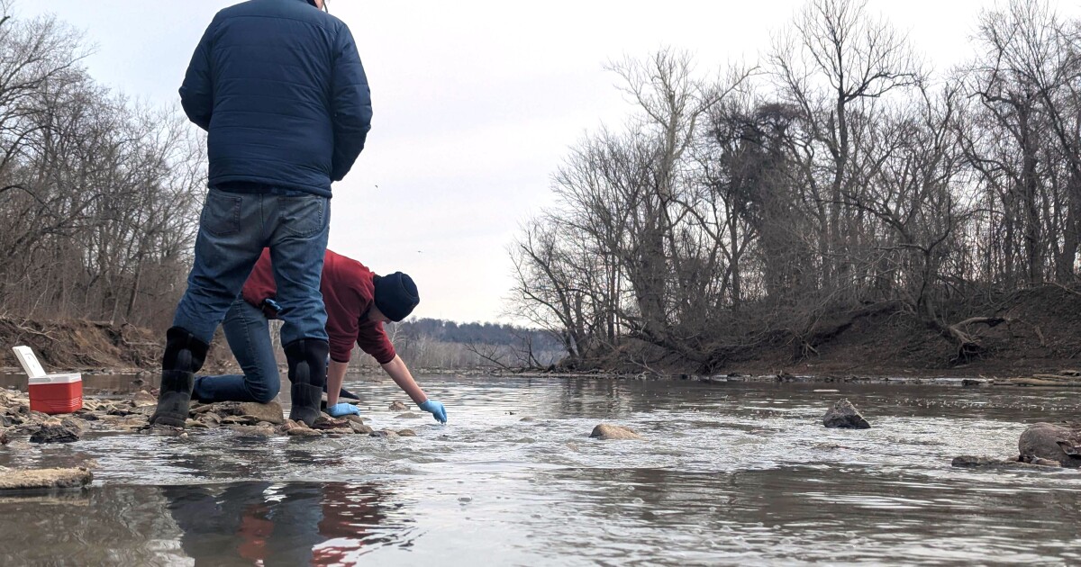 Wetenschappers maken zich zorgen over blijvende schade door lekkage van rioolwater in Potomac
