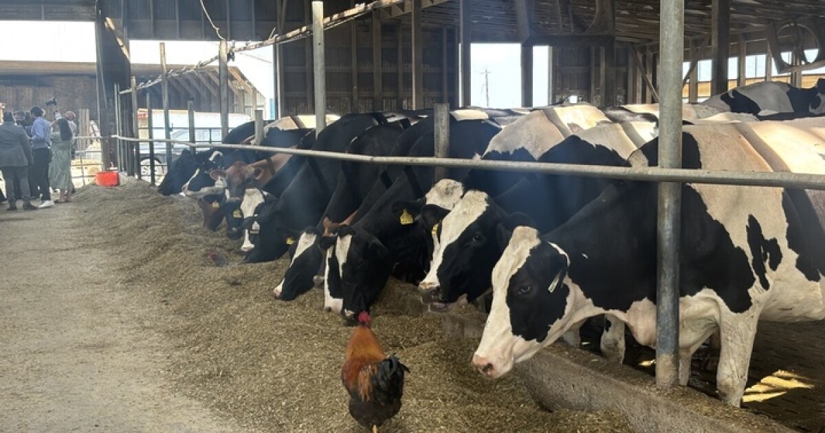 Het plan van vertegenwoordiger Rob Bresnahan om de afgeschafte 'van boer tot voedselbank'-programma's nieuw leven in te blazen