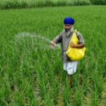 Hoe de oorlog in Iran de mondiale voedselvoorziening bedreigt