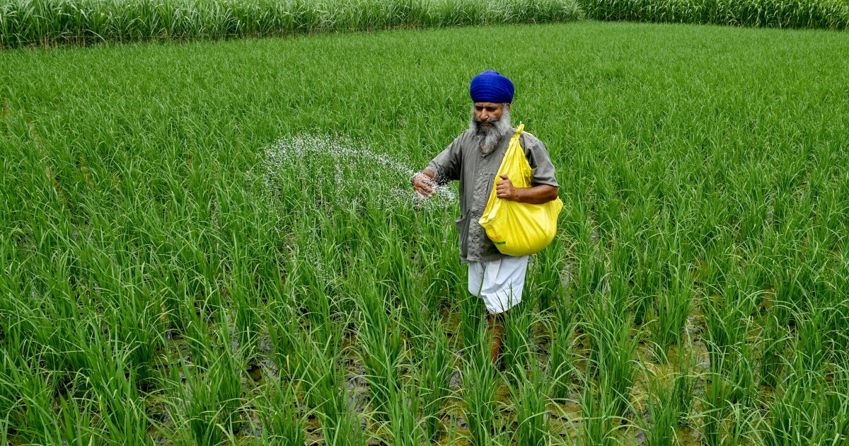 Hoe de oorlog in Iran de mondiale voedselvoorziening bedreigt