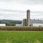 Kleine bedrijven juichen het tariefbesluit van het Amerikaanse Hooggerechtshof toe, maar worden nog steeds geconfronteerd met onzekerheid