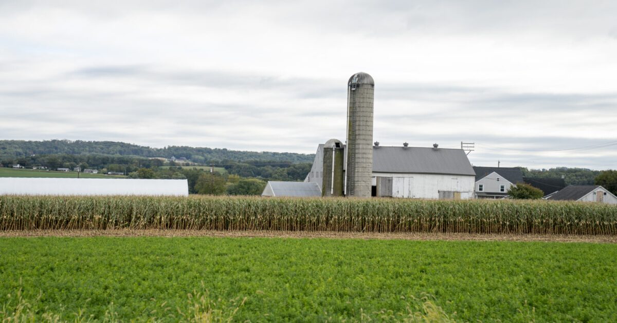 Kleine bedrijven juichen het tariefbesluit van het Amerikaanse Hooggerechtshof toe, maar worden nog steeds geconfronteerd met onzekerheid