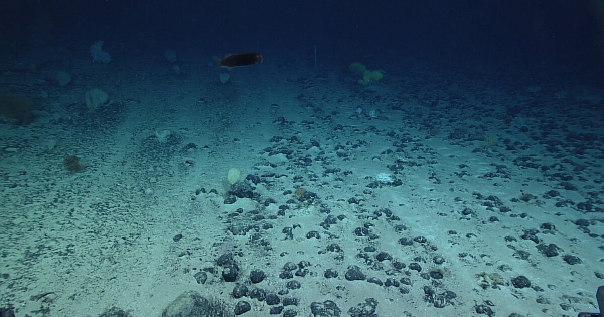 Landen onderhandelen over regels om de diepzee te ontginnen. De VS gaan alleen verder