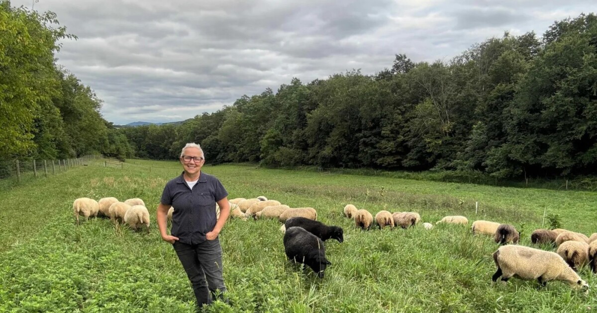 USDA herstelt contract ter waarde van $59 miljoen met de duurzame boerderijgroep uit Pennsylvania