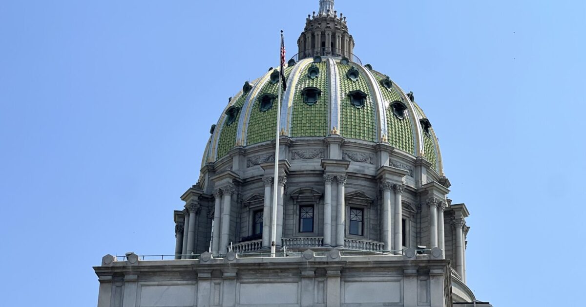 'Victoria's Law' heeft tot doel de verkoop van dieren die zijn grootgebracht in puppymolens in Pa te stoppen.