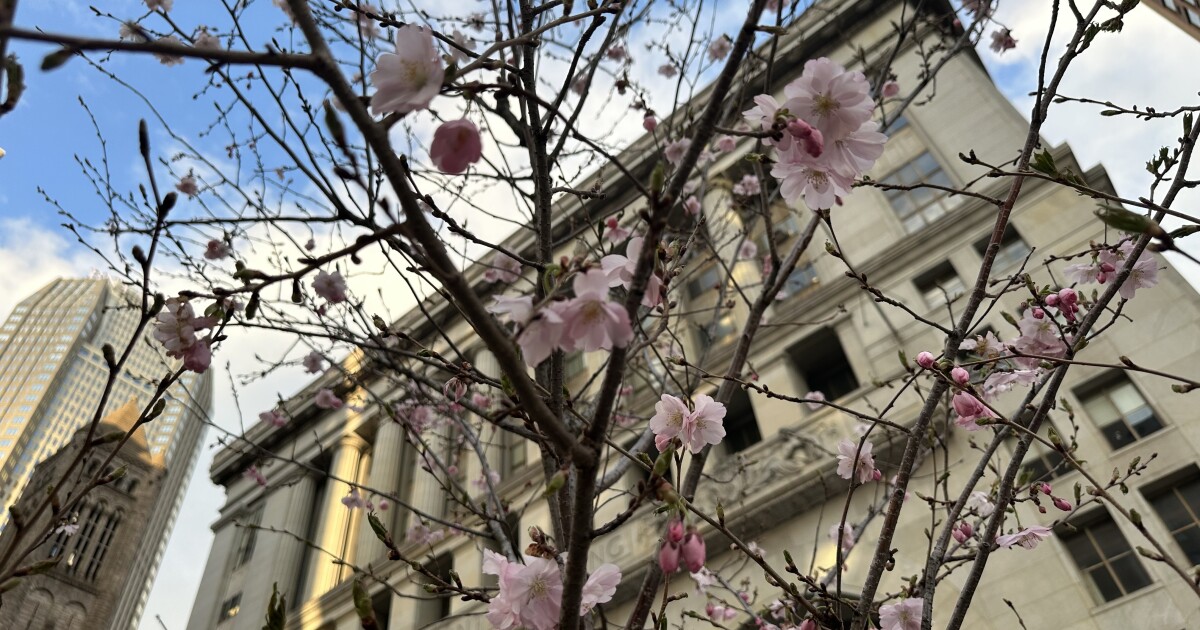 De gemeenteraad van Pittsburgh verbiedt personeel en politie om samen te werken met ICE