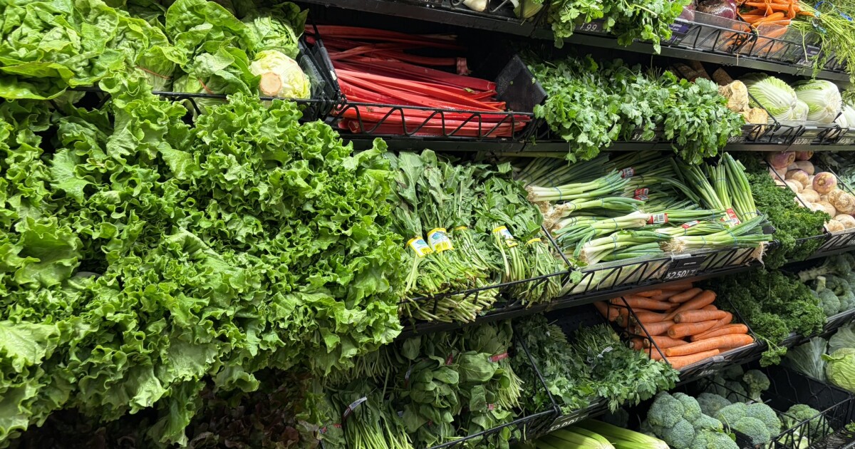 De raad keurt de wijzigingen in de stadsbegroting van Pittsburgh goed, inclusief bezuinigingen op het voedselrechtvaardigheidsprogramma