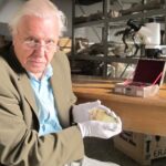 David Attenborough viert zijn 100ste verjaardag