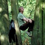 Geworteld in de natuur, zal 'Silent Friend' de manier veranderen waarop je naar de bomen kijkt