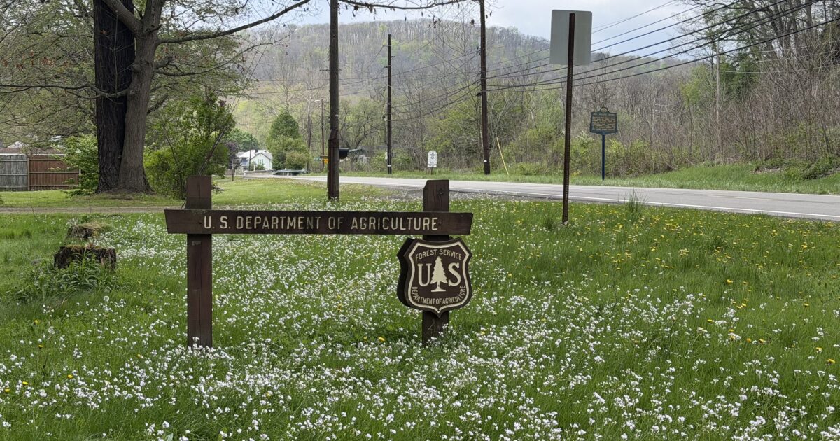 Trump wil het onderzoek van de Amerikaanse Forest Service stopzetten en vier faciliteiten in Pennsylvania sluiten