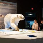 Laatste dagen voor 'Polar World' in het Carnegie Museum in Pittsburgh