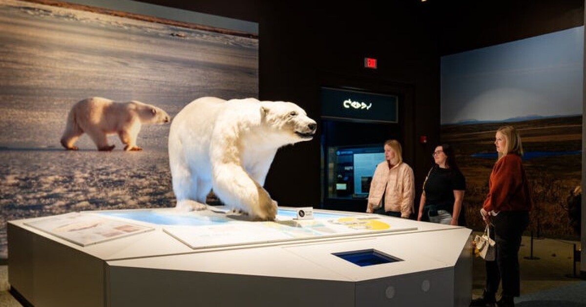 Laatste dagen voor 'Polar World' in het Carnegie Museum in Pittsburgh