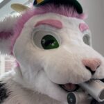 Met water en ventilatoren bereidde Anthrocon 2026 zich voor op de extreme hitte van Pittsburgh