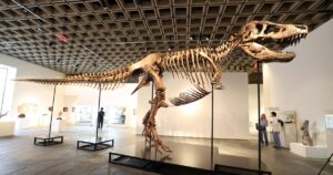 Wil je een echte T. rex bezitten? Het zou je $30 miljoen kunnen kosten