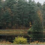 Miljoenen van staatsgronden zouden kunnen worden omgeleid naar het platteland van Pa. om te helpen bij het compenseren van belastingvrij onroerend goed