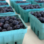 Pennsylvania lanceert een subsidieprogramma van $10 miljoen om fruittelers te helpen herstellen van de bevriezing in april