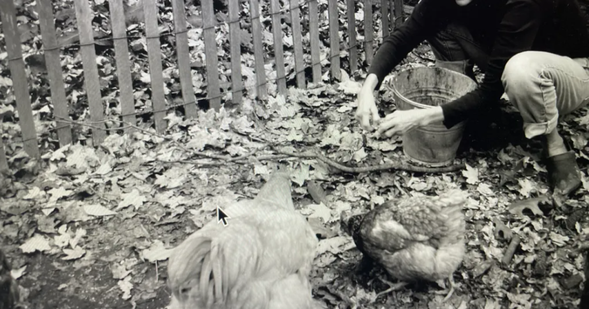 Auteur schrijft een liefdesbrief aan haar boerderij in het westen van Pennsylvania